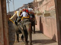 DSC_6287 Jaipur
